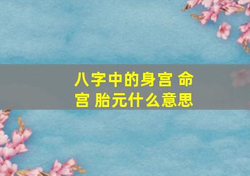 八字中的身宫 命宫 胎元什么意思